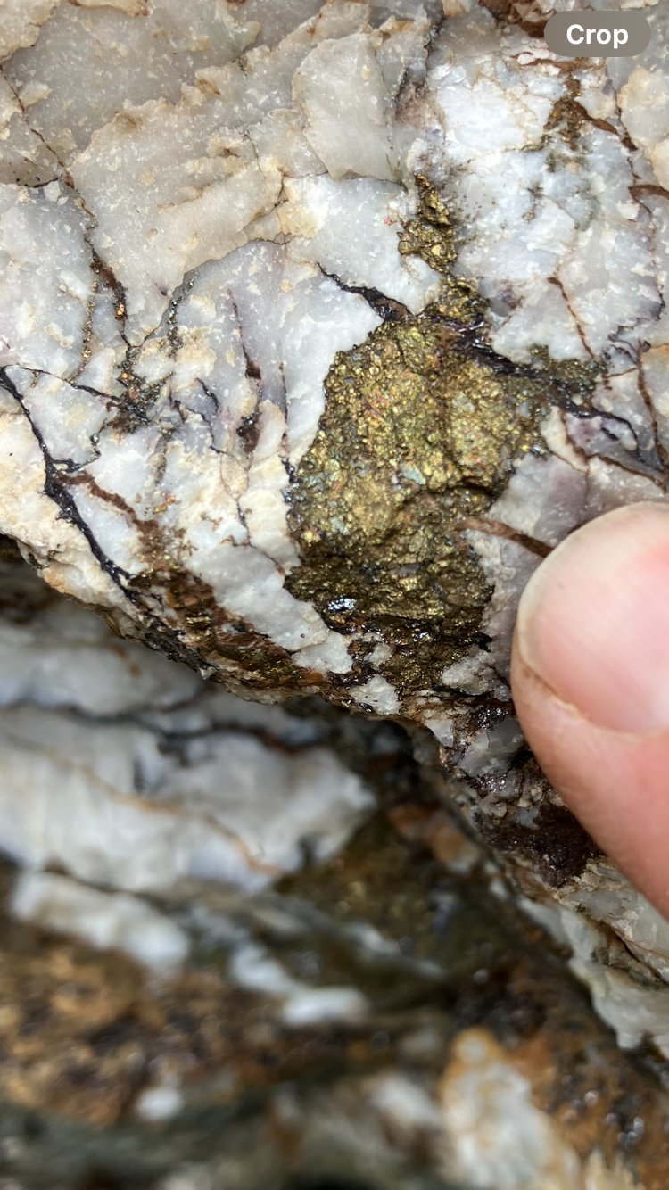Mineralized quartz vein at Frenchmans Creek